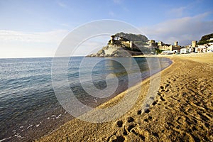 Tossa de mar, Platja Gran, Vila Vella photo