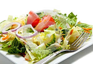 Tossed Salad on a plate with a fork
