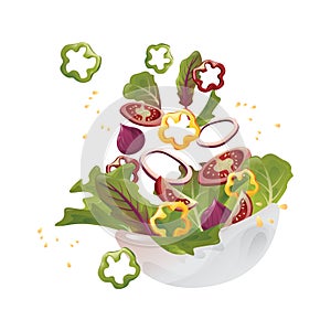 tossed salad. Vector illustration decorative design