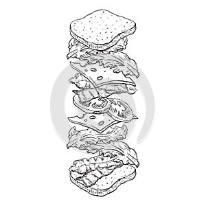 tossed sandwich. Vector illustration decorative design