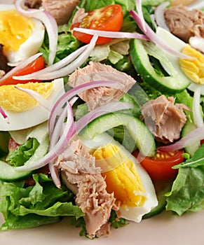 Tossed Tuna And Egg Salad