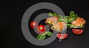 tost appetizer black bread sandwich avocado melted red fish cheese with green basil leaf and red cherry tomatoes billboard poster