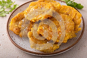 Tostones, traditional Carribean dish, twice fried plantains