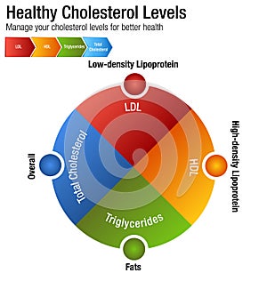 Total Blood Cholesterol HDL LDL Triglycerides Chart