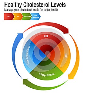 Total Blood Cholesterol HDL LDL Triglycerides Chart