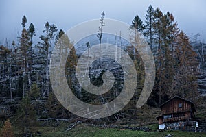 The total devastation caused by the Vaia storm in October 2018, in the Dolomites photo