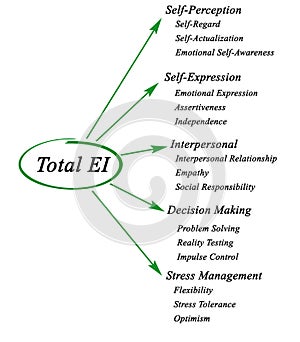 Total emotional intelligence photo