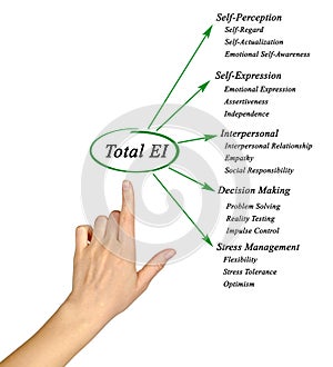 Total emotional intelligence