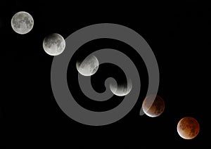 Total Lunar Eclipse photo