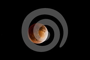 Total Lunar Eclipse photo