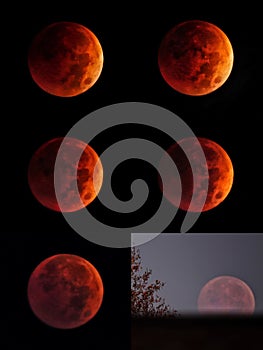 Total Moon Eclipse, Total Lunar Eclipse, Blood Moon, Super Moon