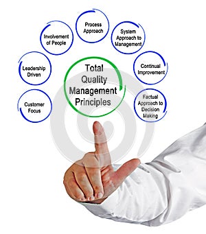 Total Quality Management Principles