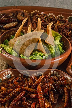 Totopos with guacamole, traditional Mexican food on a clay plate