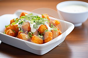 tots with sour cream and green onions topping