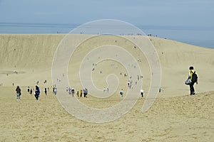 Tottori sand dune