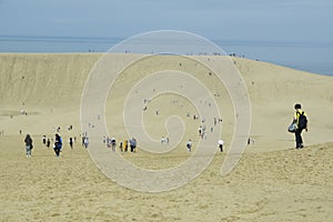 Tottori sand dune