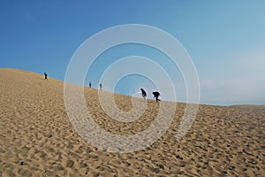 Tottori Sand Dune, a well known scenic spot in Japan.