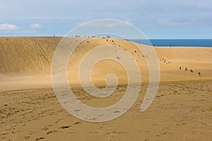 Tottori Sand Dunes in Tottori, Japan