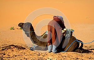 Touareg and camel photo