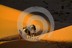 Touareg and camels photo