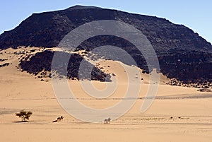 Touareg nomads crossing a vast desert