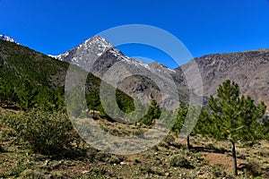 Toubkal national park