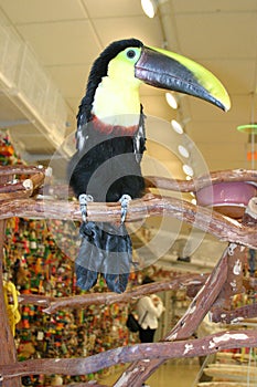 Toucan 1