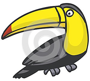 Toucan