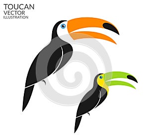 Toucan