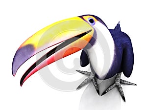 Toucan bird