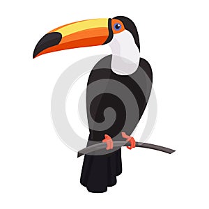 Toucan bird with big bill sitting on tree branch in tropical forest