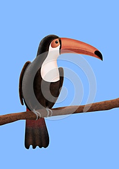 Toucan bird on a branch