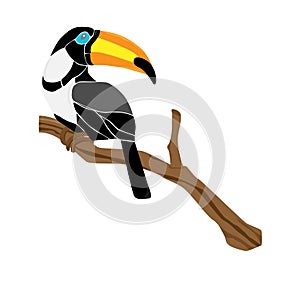 Toucan bird on a branch