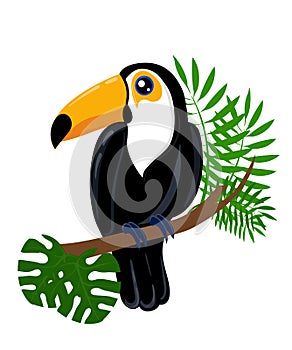 Toucan bird cartoon character. Cute toucan flat isolated on white. South America fauna. Guinea pig icon. Wild animal illust