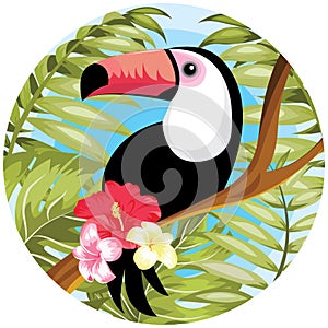 Toucan bird cartoon character. Cute toucan flat vector isolated on white. South America fauna. Guinea pig icon. Wild animal