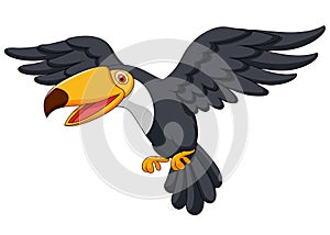 Toucan bird cartoon flying