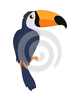 Toucan Bird Cartoon Icon in Flat Design