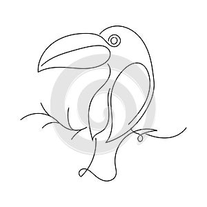Toucan Bird Line Art vector illustration