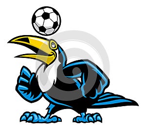 Toucan bird play soccer