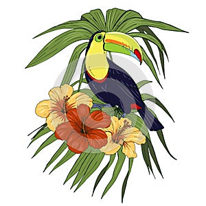 Toucan bird and tropical plants