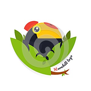 Toucan Bird vector illustration on white background. Hornbill. l