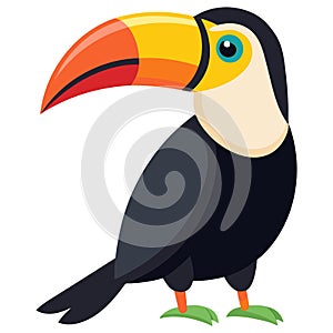 toucan bird white background