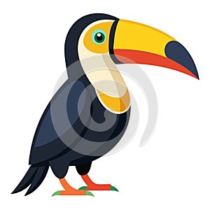 toucan bird white background