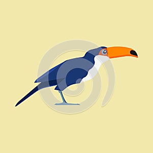 Toucan bird yellow zoo vector icon side view. Flat jungle tropical summer exotic wild parrot. Cartoon paradise