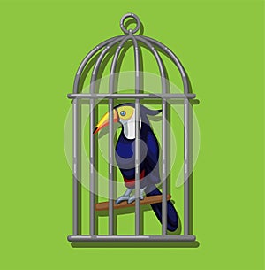 Toucan in birdcage. Toucan family Ramphastidae exotic bird from american tropical forest illustration in cartoon vector