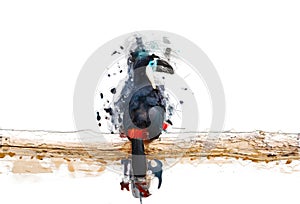 Toucan on the branch, abstract animal concept