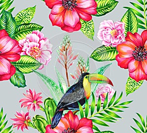 Toucan and cammelias, tropical seamless patern.