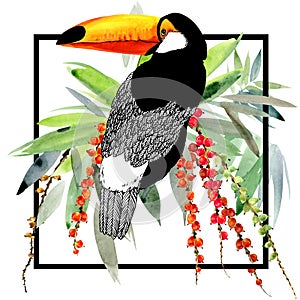 Toucan. Exotic nature background. tropical plant.