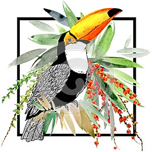 Toucan. Exotic nature background. tropical plant.