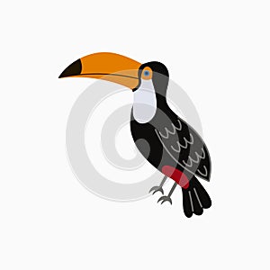 Toucan. Exotic tropical bird with big yellow beak. Vector.